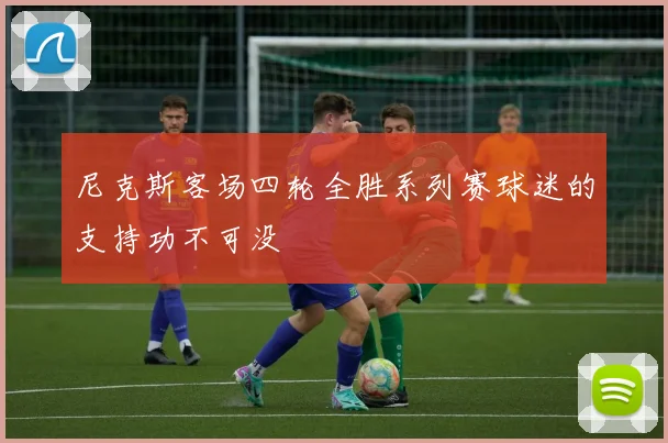 尼克斯客场四轮全胜系列赛球迷的支持功不可没