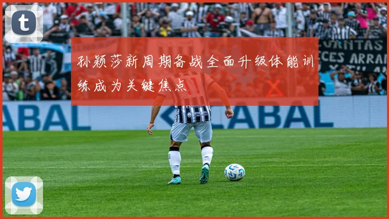 孙颖莎新周期备战全面升级体能训练成为关键焦点